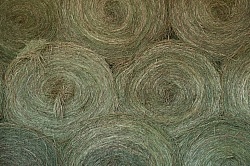 Storage of Round Hay Bales
