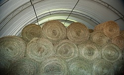 Storage of Round Hay Bales