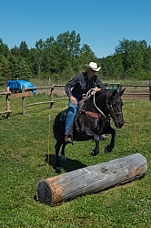 Extrme Cowboy Clinic with Lantz Mclaren at Horse Country