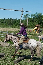 Extrme Cowboy Clinic with Lantz Mclaren at Horse Country