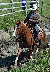 Extrme Cowboy Clinic with Lantz Mclaren at Horse Country