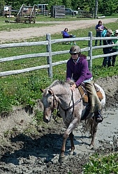 Extrme Cowboy Clinic with Lantz Mclaren at Horse Country