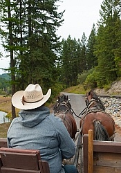 The Wagon Ride