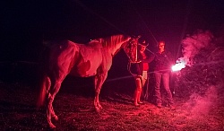 Getting the Horses used to Flares