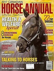 Horse Annual 2017