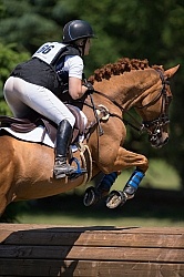 Equine Athlete, Eventing Lower Level