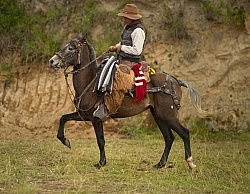 A Chagra at The Local Rodeo