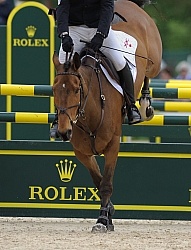 Peter Barry and Kilroden Abbott Rolex 2011 Arena Footing