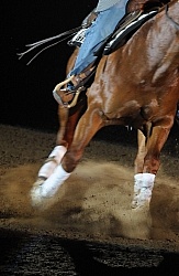 Arena Footing for Reining