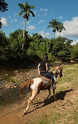 On the Trail at Finca La Guabina Havana