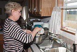 Feeding an Orphaned Foal