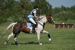 Leg Protection Eventing