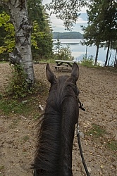 The View of Voyageur Bay from Bailey Boy at Horse Country Campgr