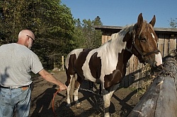 Joe Hoses Down Major at Horse Country Campground