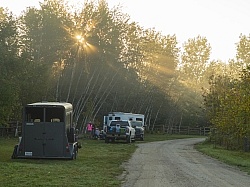 The Morning Light Filtering Through the Trees at  Horse Country