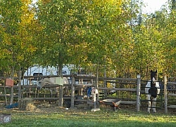 A Corral at Horse Country Campground