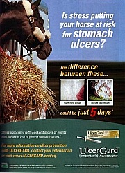 Ulcer Guard Ad
