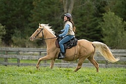 Girl Riding Rocky Mountain Horse, Bonnie View Farm