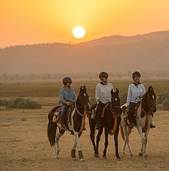 Sunset Ride in India