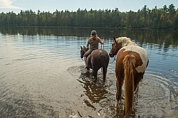 Shawn on Bailey Boy Leading Major into the Water at Voyaguer Bay Ponying a Horse to Water