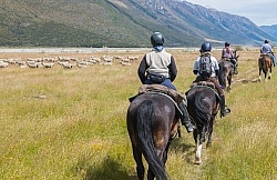 Day Ride From Boundary Hut, Wild Womens Expeditions with Adventure Horse Trekking New Zealand