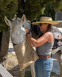 Paula Graining a Horse at  Lunch on the Trail