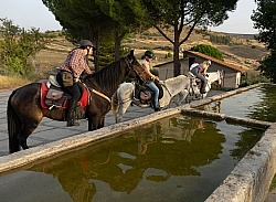 Watering the Horses