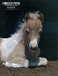 Horse Power Poster Sept  Oct 2011