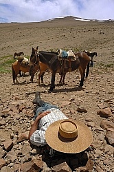 Crossing The Andes Gauchos