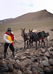 Crossing The Andes Gauchos
