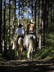 Trail Riding Western