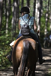 Trail Riding General