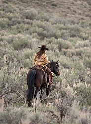 Trail Riding at Sombrero Ranch