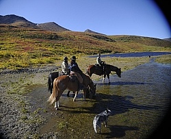 On the Trail - Yukon Pack Trip