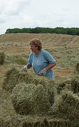 Bringing in Hay