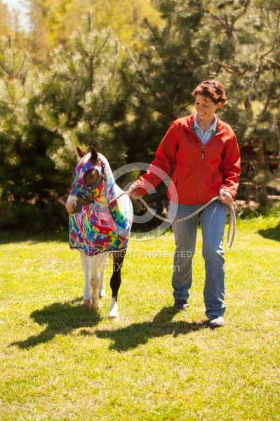 Miniature Horse Wearing a Slinky