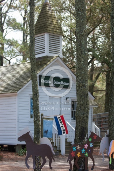 The Corolla Horse General