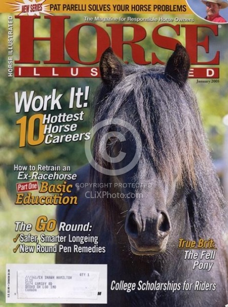 2005 January Horse Illustrated