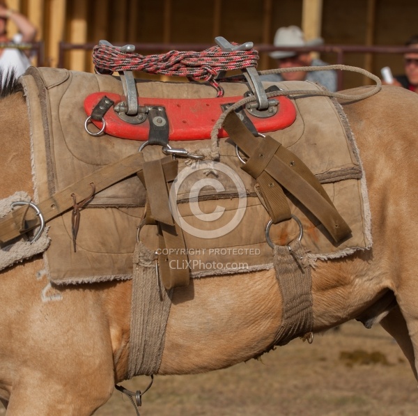 Pack Horse Tack