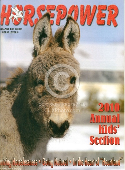 2010 Horse Power Annual Edition 