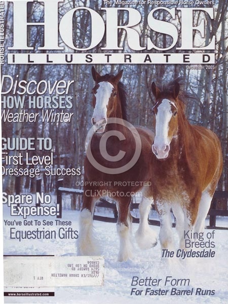 2005 December Horse Illustrated