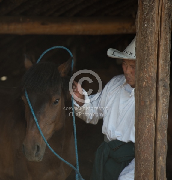The bond between herdsman and horse