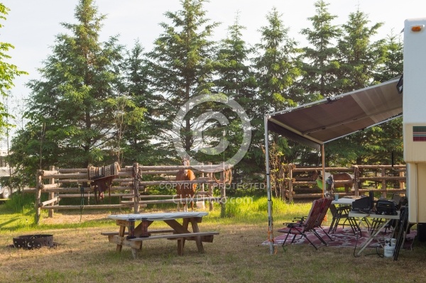 Campsite at Horse country Campground