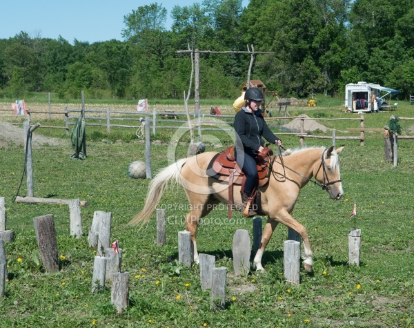 Extrme Cowboy Clinic with Lantz Mclaren at Horse Country