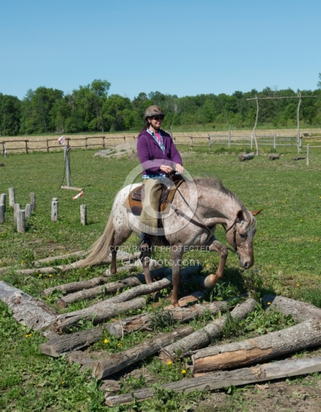 Extrme Cowboy Clinic with Lantz Mclaren at Horse Country