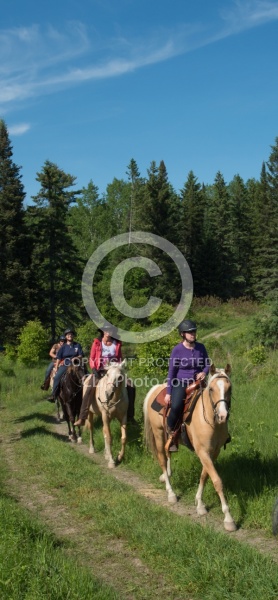 River Crossing at Horse Country Campground Lantz Mclaren Clinic