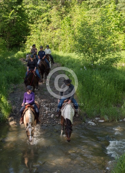 River Crossing at Horse Country Campground Lantz Mclaren Clinic