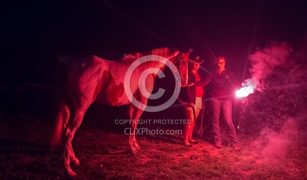 Getting the Horses used to Flares