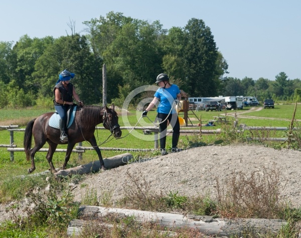 Being Ponied Blindfolded