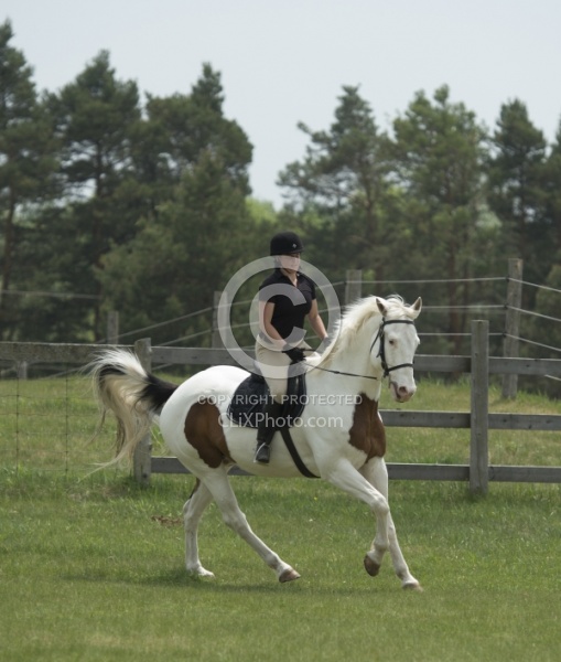 Paint Schooling English Canter